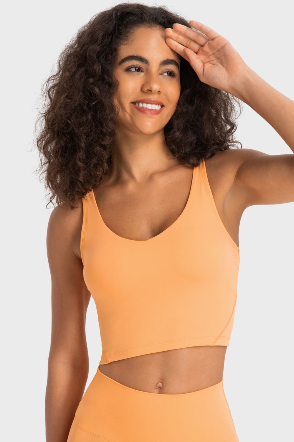 Millennia Deep V-Neck Crop Sports Bra