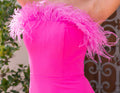 Sochi Gown - Hot Pink Feather Trim Evening Dress