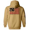 America 250 Years Anniversary Flag