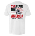 250 Years Statue of Liberty